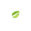Bitfinex
